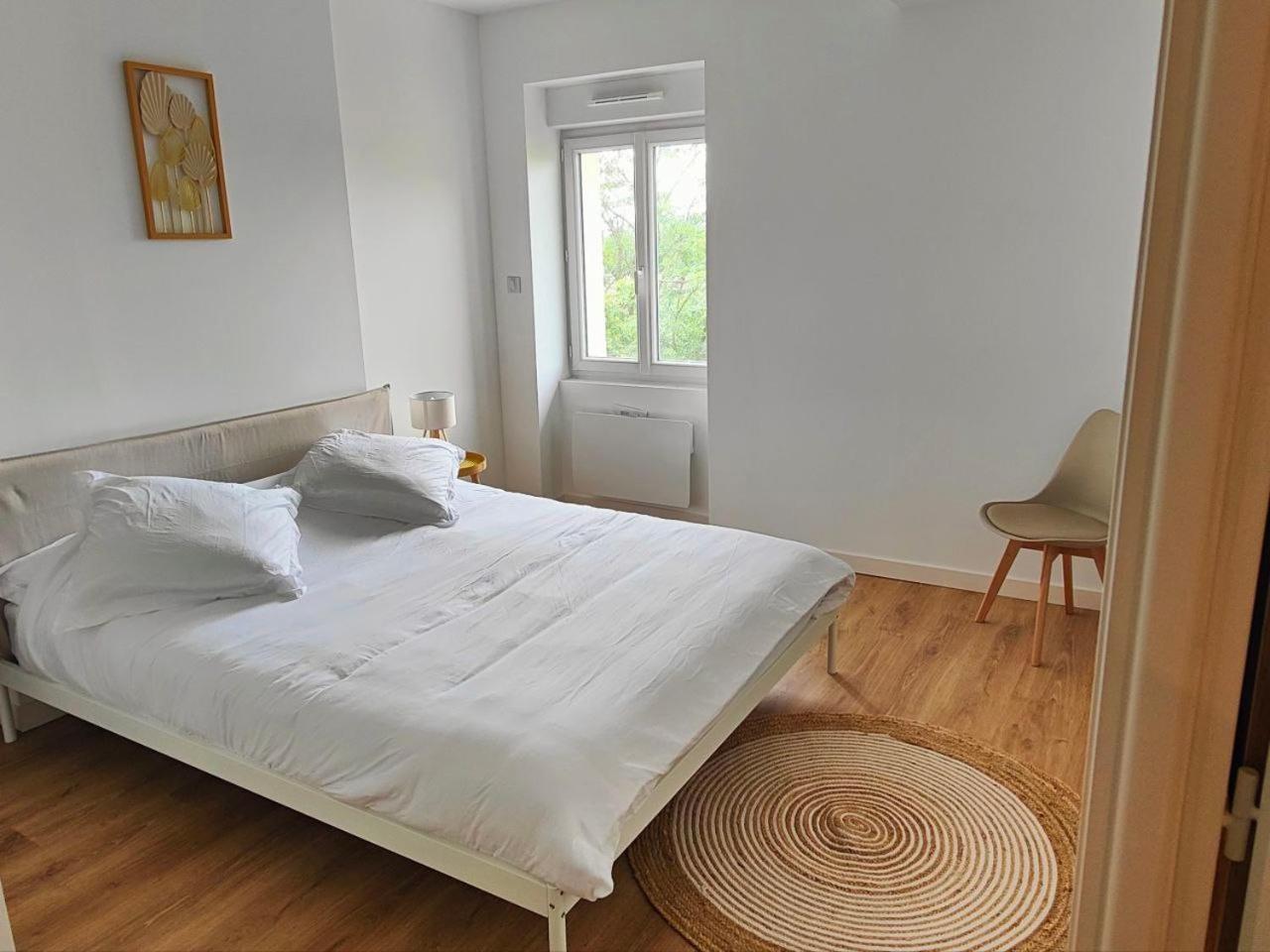 Appartement 2 En 1, 10 Pers, Parking, Wifi Clermont-Ferrand